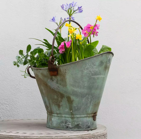 Bathwick Scuttle with Beading