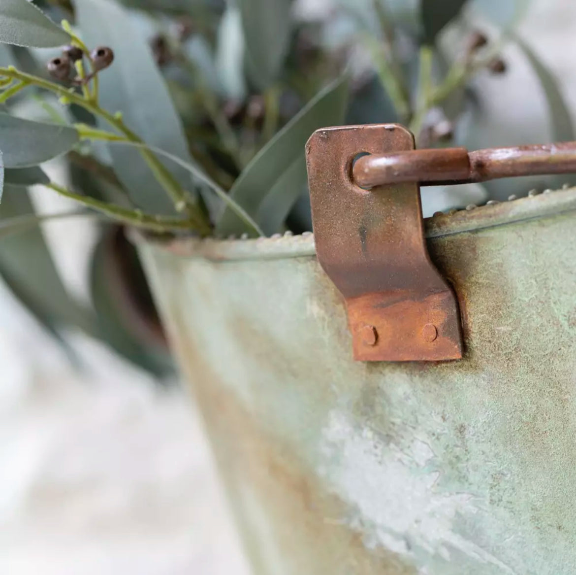 Bathwick Scuttle with Beading