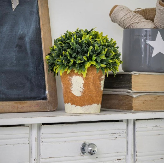 Faux Box in Terracotta Pot