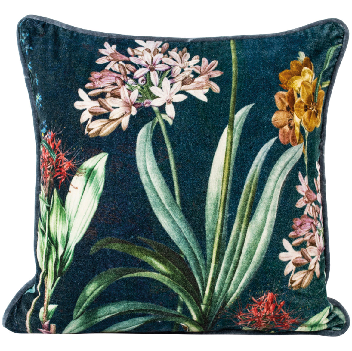 Agapanthus Velvet Cushion