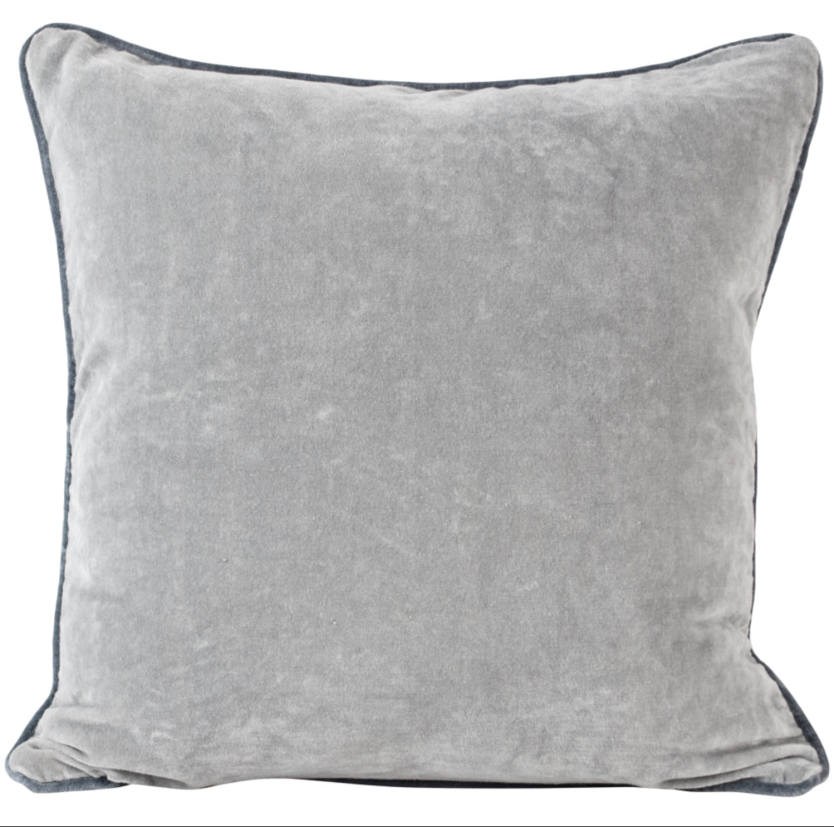 Agapanthus Velvet Cushion