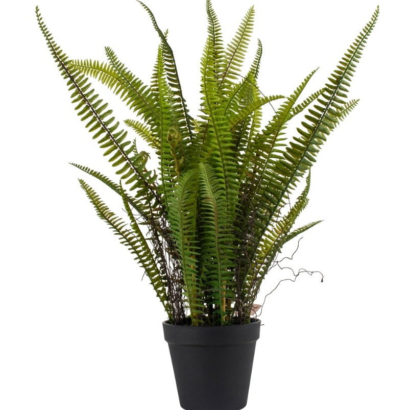 Boston Faux Fern